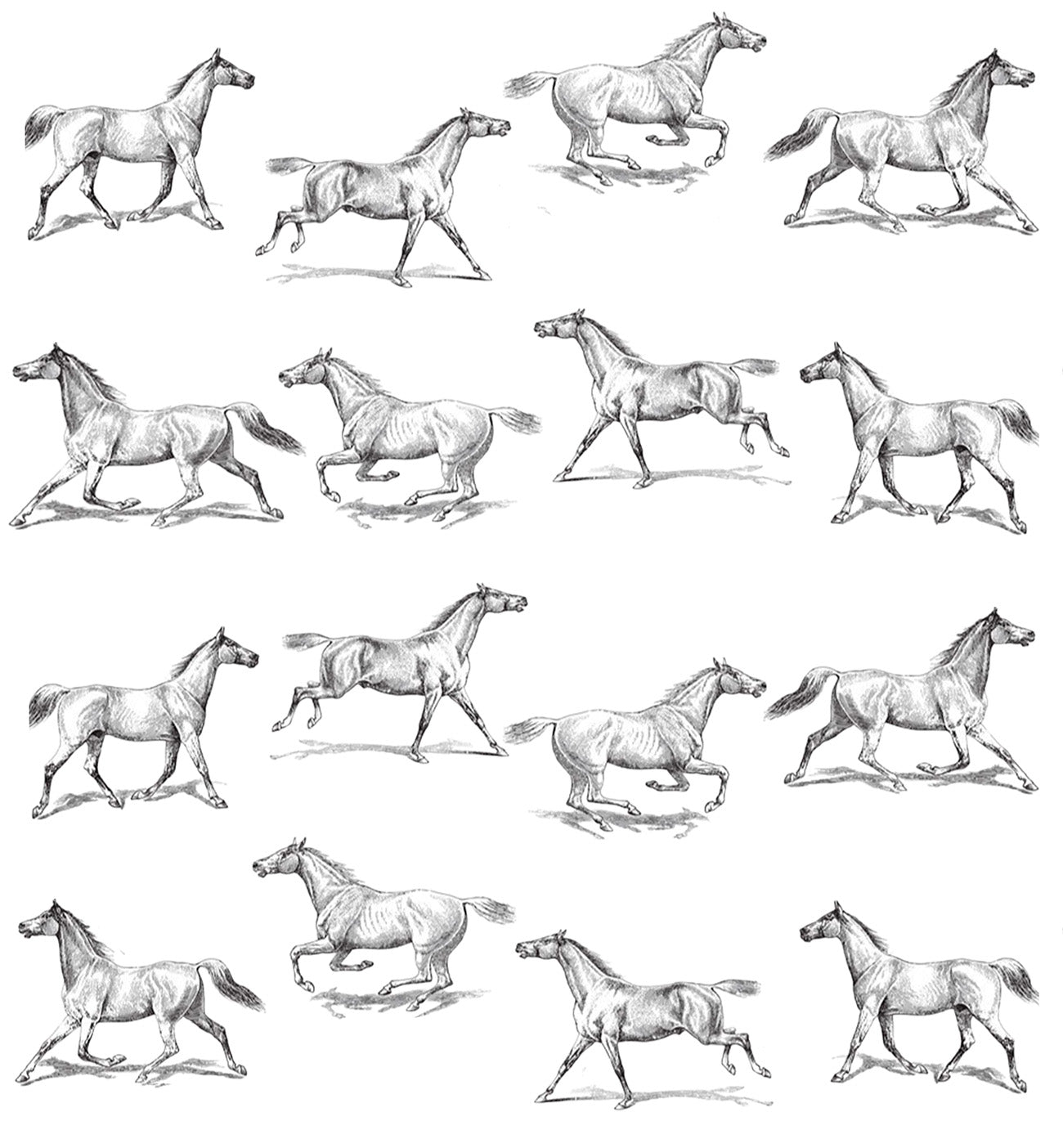 Papel de Parede Estampa Cavalos