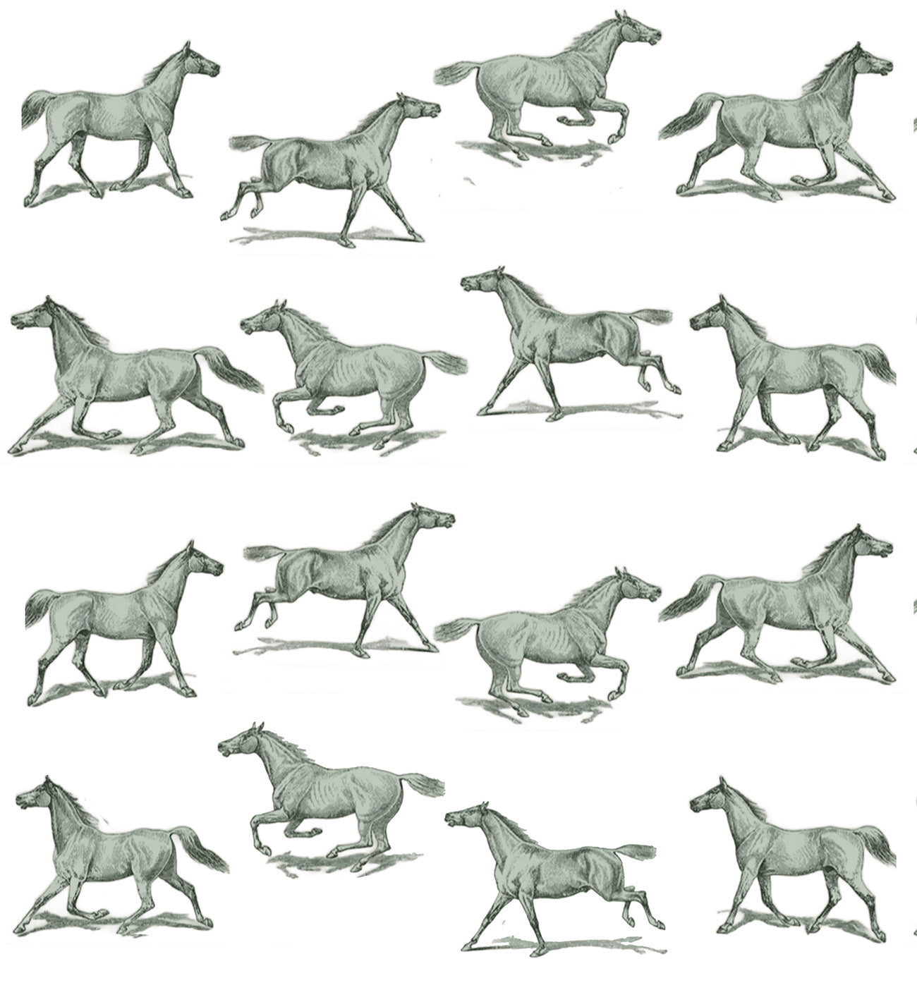 Papel de Parede Estampa Cavalos