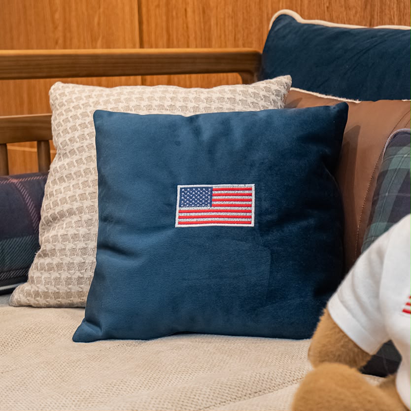 Almofada Decorativa Infantil Ralph 30x30 cm – Urso Xadrez ou Bandeira USA