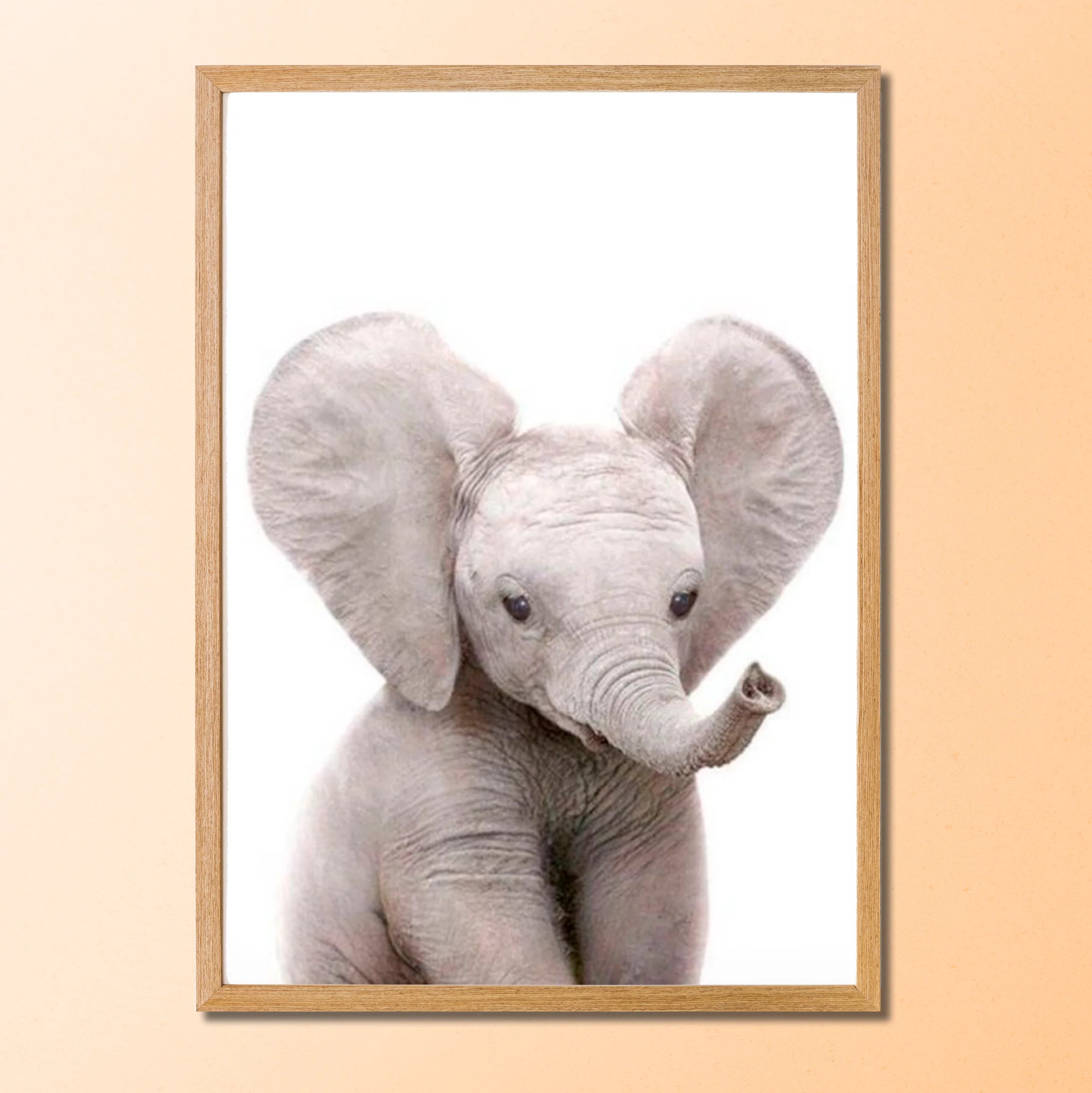 Quadro Decorativo Animais