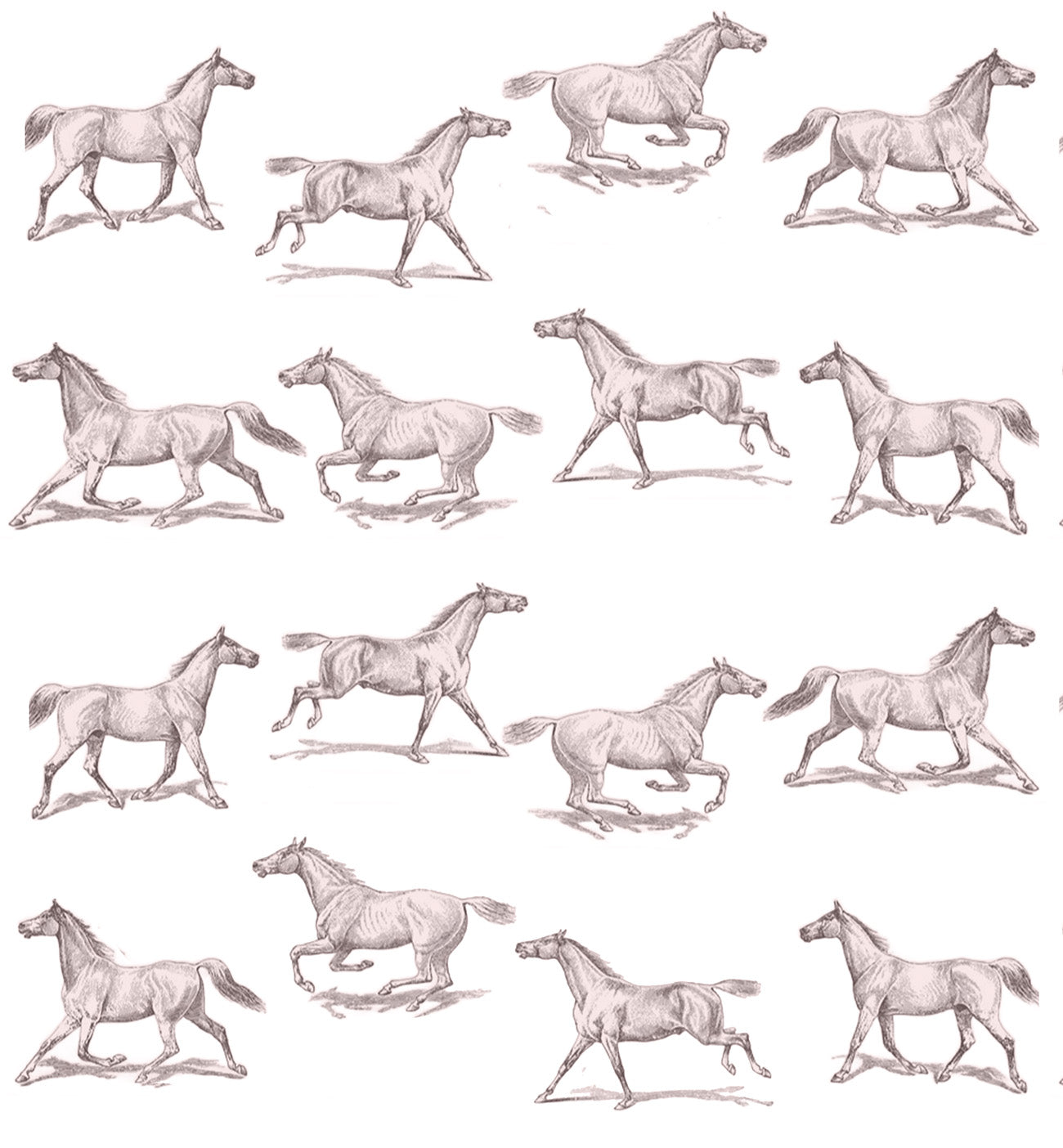 Papel de Parede Estampa Cavalos