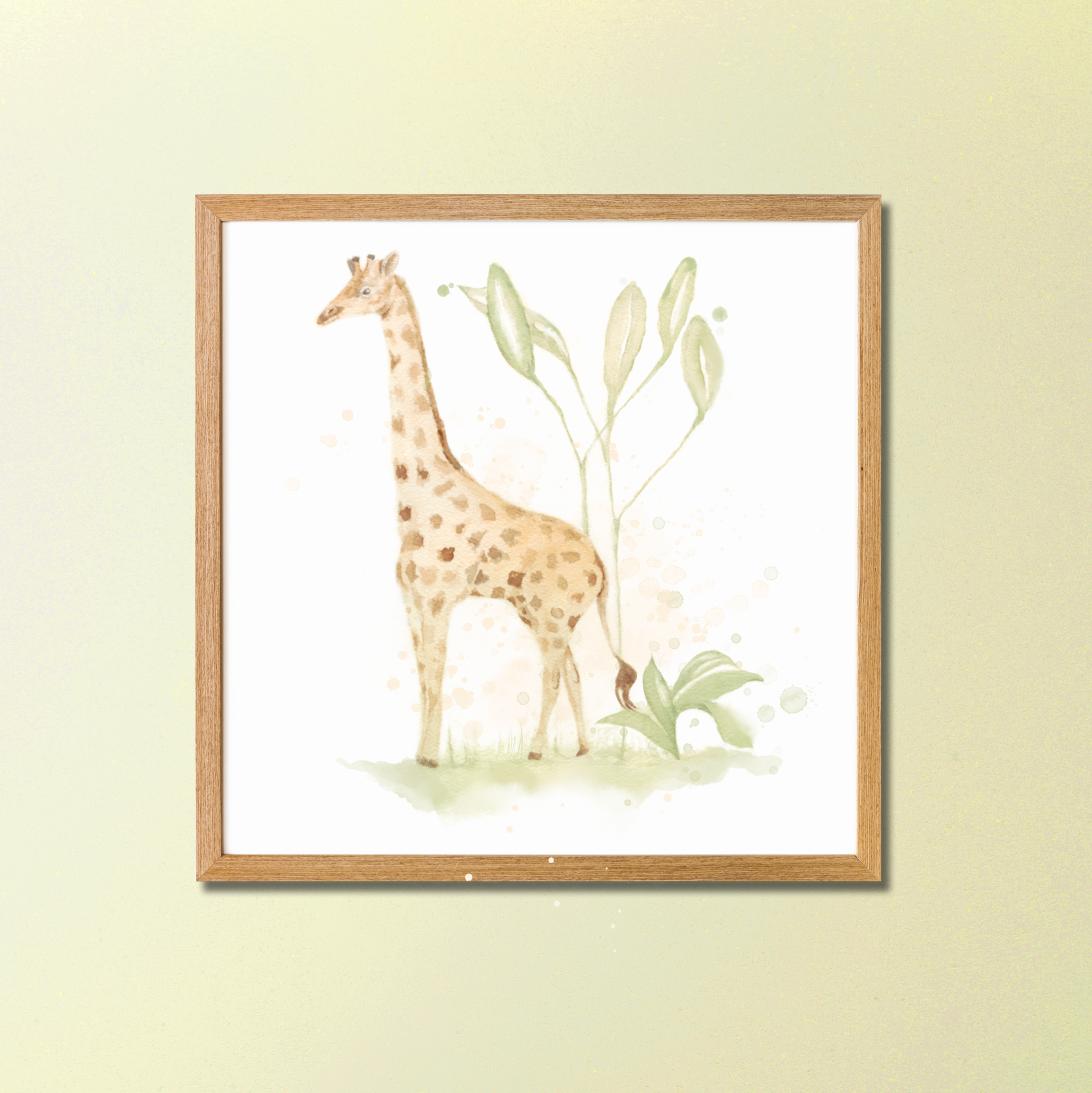 Quadros Decorativos Coleção Safari