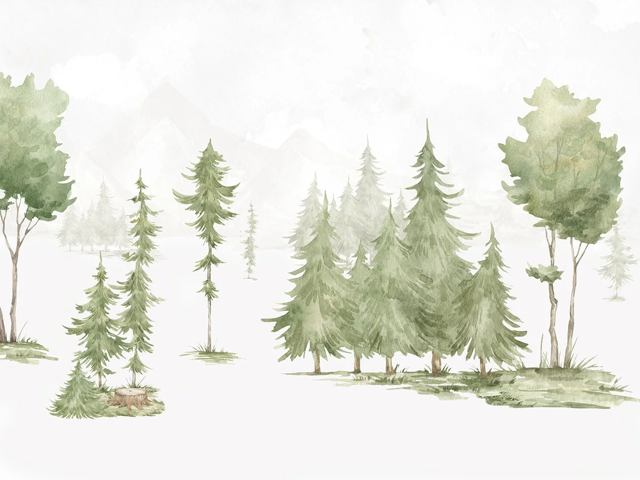 Papel de Parede Bosque de Pinus