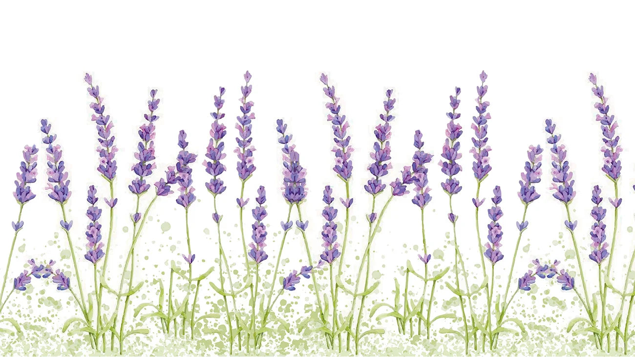 Papel de Parede Lavanda