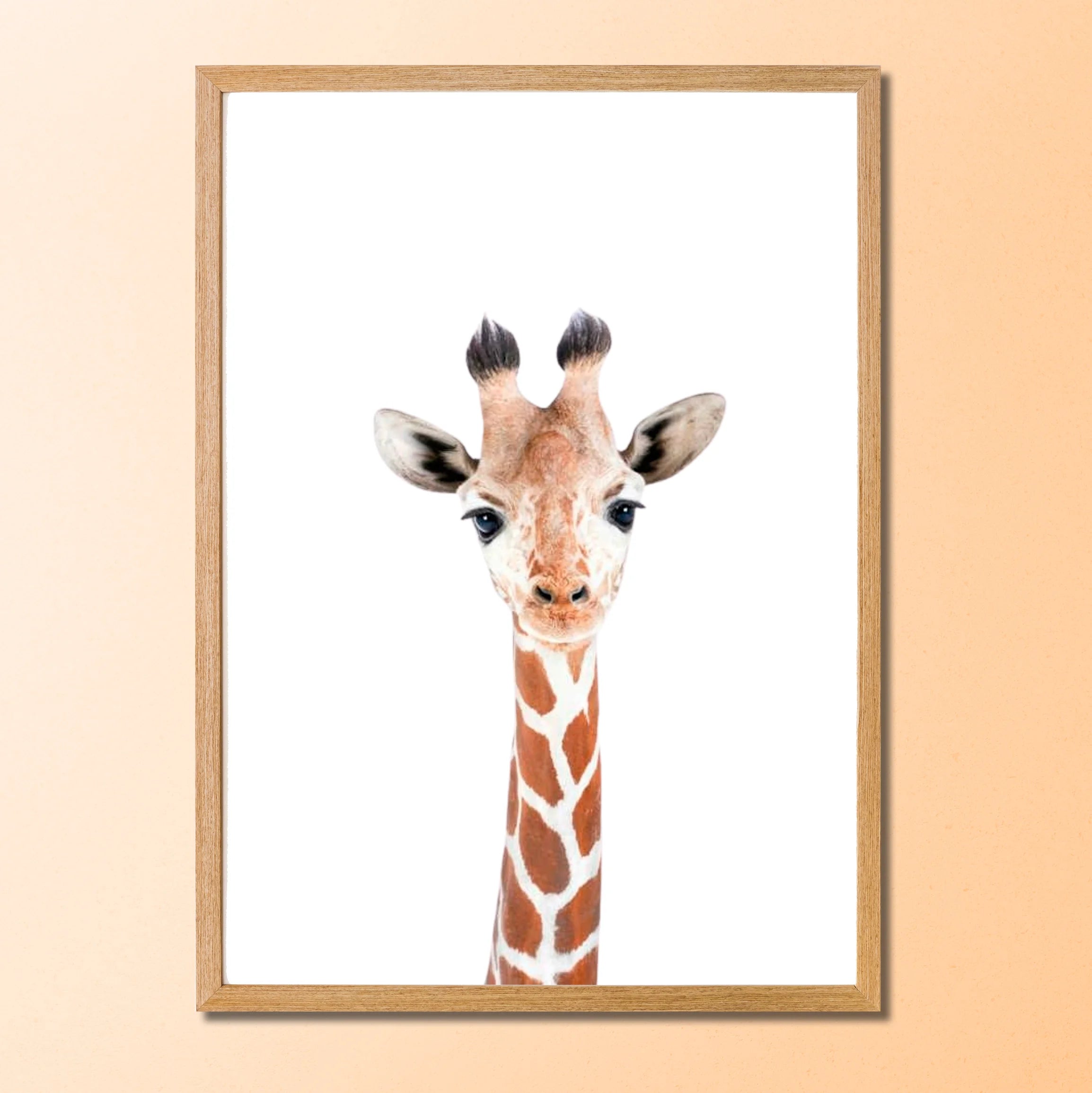 Quadro Decorativo Animais